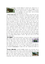 [기행문,감상문,공산성,백제역사] 백제역사의 빛 1 - 공산성-4