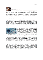 [애니메이션] 애니매이션의 이해_오시이 마모루-11
