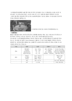 [일반물리학] 빛이 일상생활에 쓰이는 예(마이크로파, 적외선, 가시광선)-4