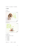 [창업] 강아지전쟁-5