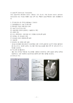 [부정맥] EPS & RFCA(전기생리검사 & 전극도자절제술)-7