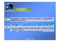[국제경영학] 글로벌 기업의 조직구조와 인적자원관리-3