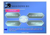 [국제경영학] 글로벌 기업의 조직구조와 인적자원관리-19