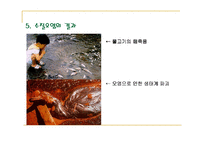 [수질오염] 수질오염 원인과 해결방안-10