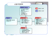 [경영학원론] 화장품산업의 구조분석-11
