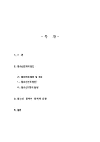 [청소년 문제] 청소년 문제의 원인과 대책-1