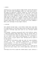 국제기업의 유형(수출기업, 다국적기업, 다지역기업)-3