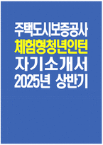 [주택도시보증공사 자기소개서] 2025년 상반기 주택도시보증공사 체험형 청년인턴 자소서 합격예문 주택도시보증공사 체험형 청년인턴 자기소개서 주택도시보증공사 자소서-1
