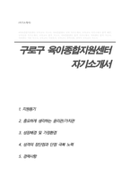 구로 육아종합지원센터 합격 자기소개서 (보육전문요원)-1