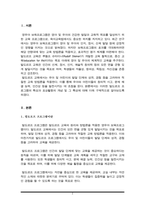 발도르프 프로그램의 특성과 표상활동의 개념 및 그 특성(A+리포트)-2