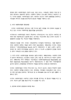 영국과 미국의 사회복지법 발달과정은 무엇이며, 양국의 공통점과 차이점은 무엇인가-3