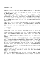 국제마케팅믹스전략-2