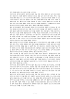 초기창업패키지 정부지원사업 전략에 대하여 기술하시오-5