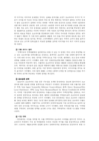 [경영학 해외직접투자] 해외직접투자 사례-2