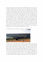 [여행,축제,브라질,삼바,리우데자네이루] 브라질의 명소와 삼바축제-2