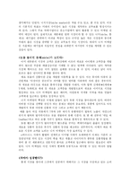[마케팅전략] 니치마케팅(틈새마케팅)의 성공사례 분석-2