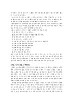 [마케팅전략] 래디컬마케팅의 특성과 성공요인 분석-2