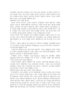[마케팅전략] 래디컬마케팅의 특성과 성공요인 분석-4