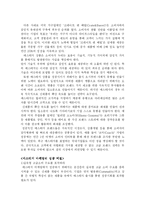 [마케팅전략] 매스티지마케팅 특성과 성공비결 분석-3