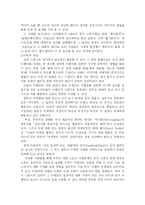 [마케팅전략] 엠부쉬마케팅 분석 및 발전방안(기습마케팅)-5