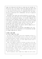 [인간과 환경] 오존층 파괴-13