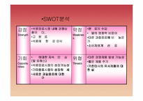 [마케팅] 미녀는 석류를 좋아해 & 2% 부족할때의 마케팅 전략 분석(stp, swot, 4p모두 포함)-14