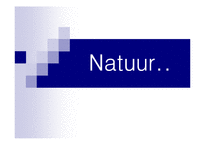 [마케팅] 나뚜루 Natuur 마케팅분석-1
