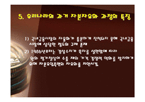 [글로벌정치경제학] 자본시장개발-10