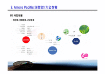 [마케팅] AMOREPACIFIC(태평양) 설화수 마케팅분석-7