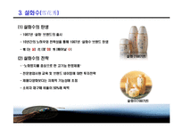 [마케팅] AMOREPACIFIC(태평양) 설화수 마케팅분석-9
