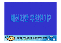 네이트온 성공분석-3