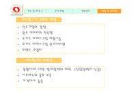 [마케팅전략] 요거트 아이스크림 레드망고 마케팅전략 분석-12
