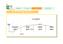[마케팅전략] 요거트 아이스크림 레드망고 마케팅전략 분석-15