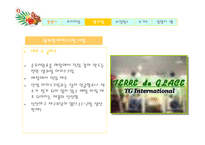 [마케팅전략] 요거트 아이스크림 레드망고 마케팅전략 분석-18