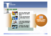 [경영학] 세스코 성공요인 분석-9