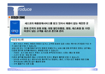[경영학] 세스코 성공요인 분석-10