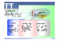 [경영학] 세스코 성공요인 분석-16