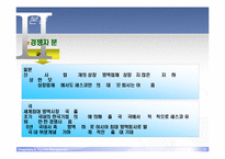 [경영학] 세스코 성공요인 분석-17