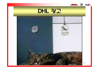 [국제마케팅] DHL의 성장과 그에 따른 분쟁-13
