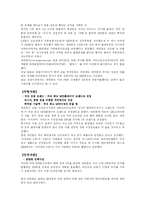 [경영전략] 레인콤 환경변화에의한 위협-12
