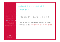[국제경영] 로만손의 중동시장 진출-8