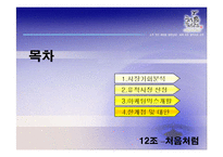 [마케팅] 두산주류 `처음처럼`의 마케팅분석-2
