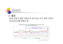 [광고원론] 광고와 캠페인-국내외의 성공한 캠페인들-15