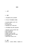 우리나라 투자은행업의 문제점과 발전방안-2