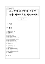 모근부와 모간부의 구성과 기능을 세부적으로 작성하시오-1