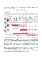 태내 발달 단계를 기입하고 각 단계에 대해 설명하시오-3