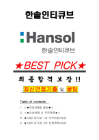 한솔인티큐브 면접기출(최신)+꿀팁[최종합격!] +1000대기업 1차 직무면접 + 2차 임원면접 최종합격자 답안-1
