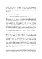 불닭볶음면 국내,글로벌시장 성공요인과 경영전략,마케팅전략,SWOT분석 및 불닭볶음면 향후전략 제시 및 미래전망,나의의견 정리-11