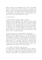 불닭볶음면 국내,글로벌시장 성공요인과 경영전략,마케팅전략,SWOT분석 및 불닭볶음면 향후전략 제시 및 미래전망,나의의견 정리-12