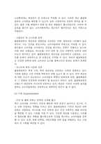 불닭볶음면 국내,글로벌시장 성공요인과 경영전략,마케팅전략,SWOT분석 및 불닭볶음면 향후전략 제시 및 미래전망,나의의견 정리-17